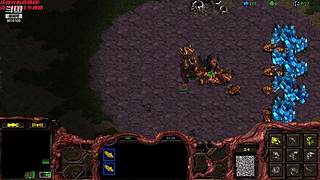 暴风虫族Ameba教你玩转星际争霸I