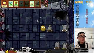 β版植物大战僵尸