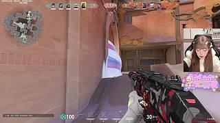 M77：小喵出击！