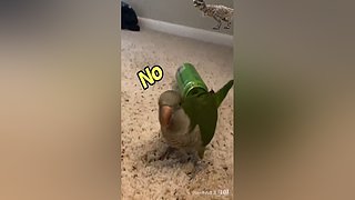 星球大战前线2玩玩看。