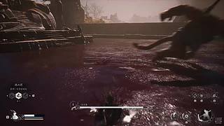 小灰灰喜欢吃粽子的直播间