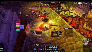 宠物对战锦标赛！梦之队组合政策转发