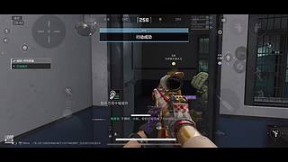 梦想拥有一颗泪