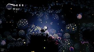 清羽岚的直播间