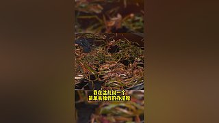 川禾川调火锅串串香培训，餐饮指导