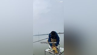 亮gnailux的直播间