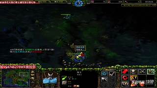 魔兽达尔文进化岛直播间