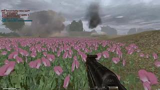 实正产品游戏模组