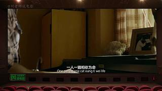 【刘老师】每天爆笑解说不断