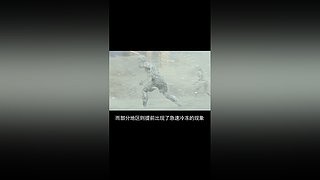 神奇诡异，尽在方才正在正果库科幻所长