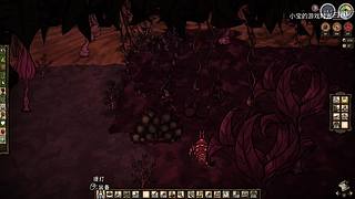 纯净日常 速通  骚操作 漂亮基地