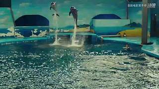 流行宜“哈哈哈哈哈”