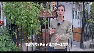 休息大于一切部部 10440627