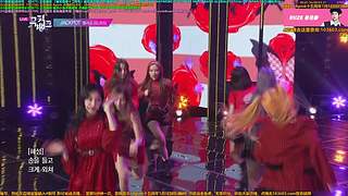 Apink十五周年1月5日回归成功