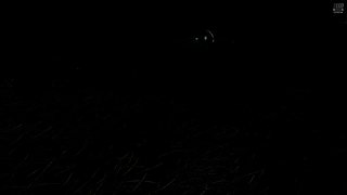 起居+养成+爬塔