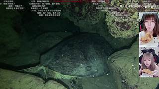 下播力，上午10点见噜～