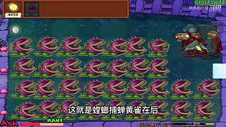 宝子们，开席了！