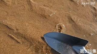 大齐赶海，又是出大货的一天