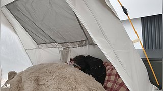 祝大家开开心心好运常伴嘞~