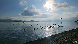 鹅导（团）开业 云南泸沽湖篇