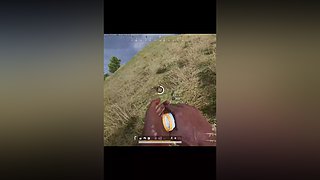 随便丸丸啦 9195926