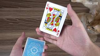 卡牌大师！花式切牌，有点东西