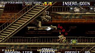 小狼：都是由于本而事