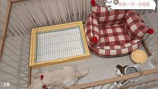 下山了，休息一下再开