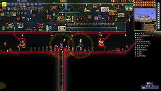 萌新泰拉瑞亚灾厄联机 月亮领主！~~~~