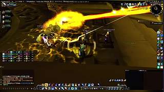 宠物对战大师！天梯排名冲刺前 10