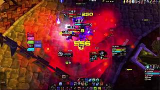 宠物对战大师！天梯排名冲刺前 10