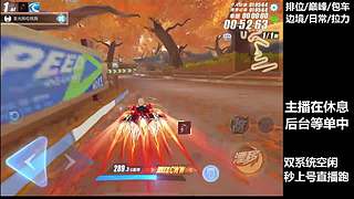 空闲中  排位巅峰极速