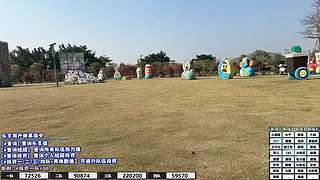 【Day23】s9熊出没赛季 熊掌224