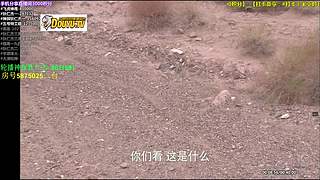 【神 剧】的直播间