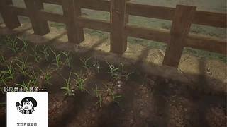 电影级画质，睡眠直播。~