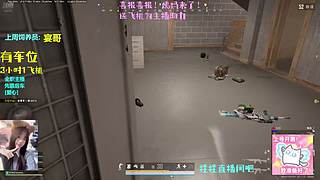 我是技术主播 7435790