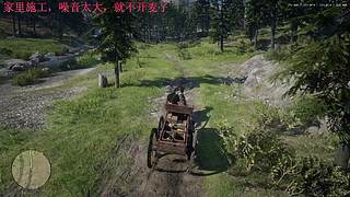 荒野大镖客2---100%完成度