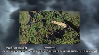 《探奇录-案件篇》