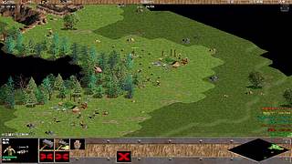 三毛锅来了的直播间