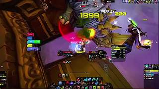 宠物对战大师！天梯排名冲刺前 10