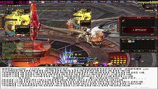 扬扬挖宝必出龙的直播间