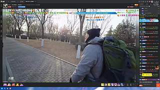 一起养鱼吗？萌新，勿喷，易破防