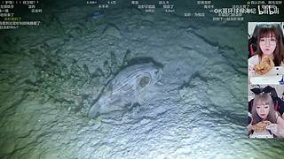 下播力，上午10点见噜