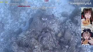 下播力，上午10点见噜