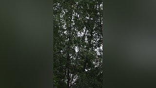 ❤主播活动两车MC连打❤