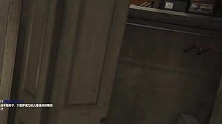 直播【刺客信条】，录播【寂静岭】！