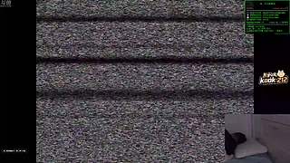 喂,在吗?进来看Show了.