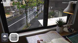 重生之奋发涂墙