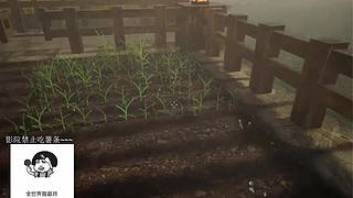 电影级画质，睡眠直播。~