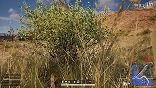 炼手：游戏自由人